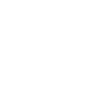 Image icon