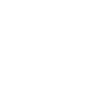 Image icon