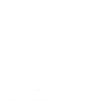 Image icon
