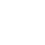 Image icon