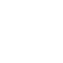 Image icon