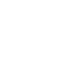 Image icon